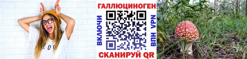 Галлюциногенные грибы Cubensis  kraken онион  Железногорск-Илимский  магазин продажи наркотиков 
